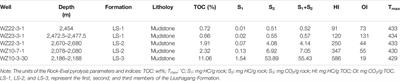 The Geochemical Study of Oil-Oil and Oil-Source Rock Correlations in the Wushi Sag of the Beibu Gulf Basin, South China Sea